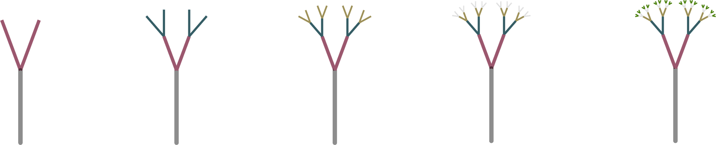 Five-step diagram: a single Y-shaped branch repeats at smaller and smaller scales until it forms a full tree canopy
